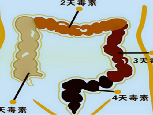 两招吃遍天，原来肠道还能这样清理，你学会了吗？